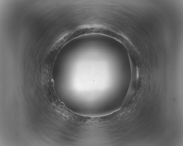X0000080690967200612151244
