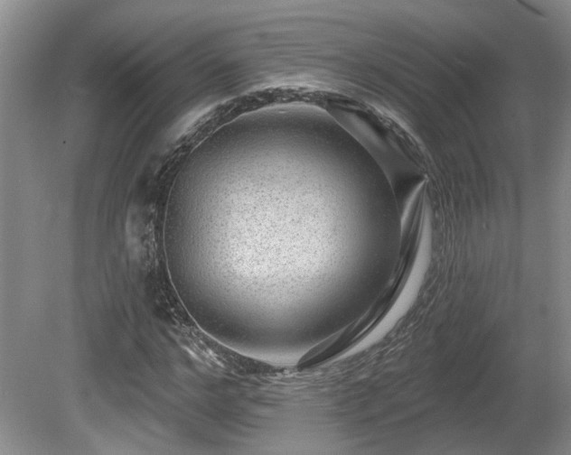 X0000080690968200612151244
