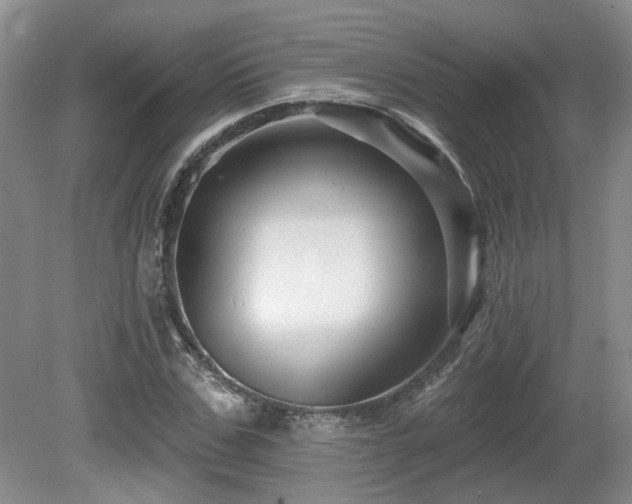 X0000080690971200612151244
