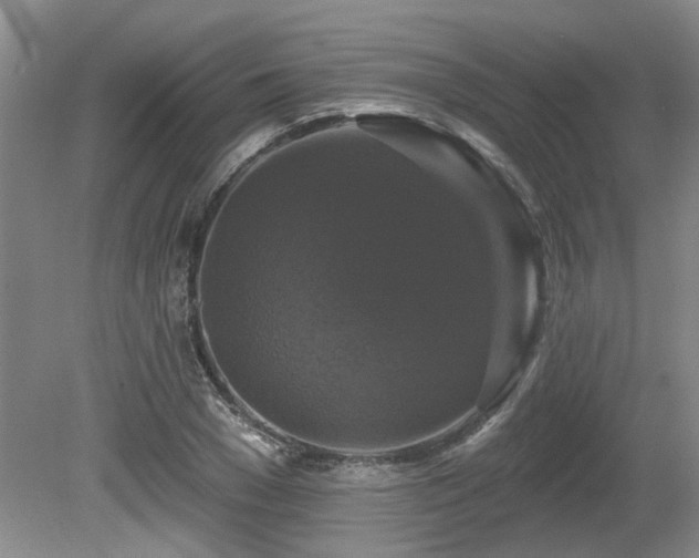 X0000080690977200612151244