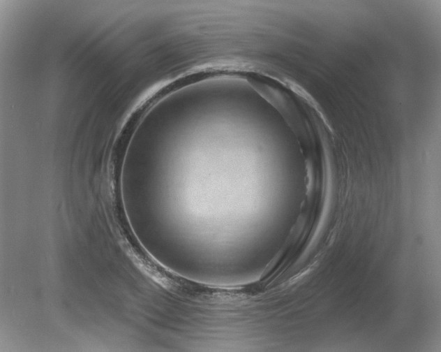 X0000080690981200612151244