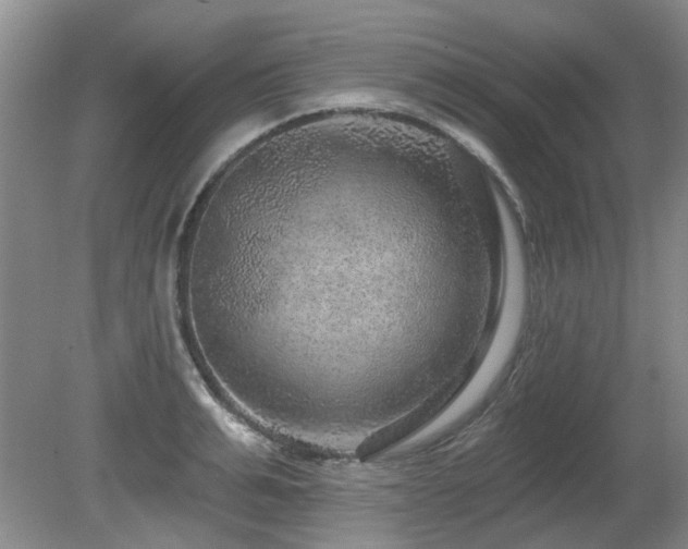 X0000080690991200612151244
