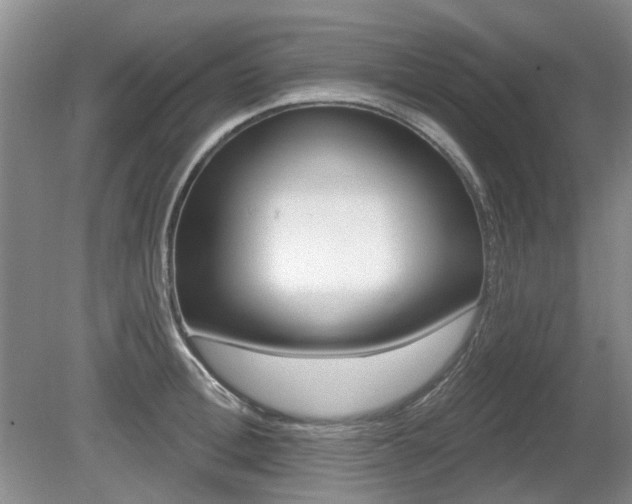 X0000080690996200612151244