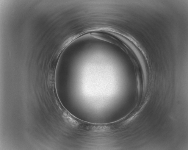 X0000080691001200612151244