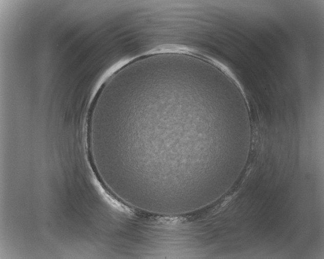X0000080691003200612151244