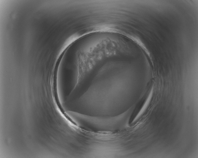 X0000080691007200612151244