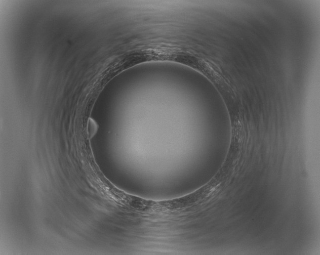 X0000080691009200612151243