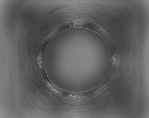 X0000080691011200612151243