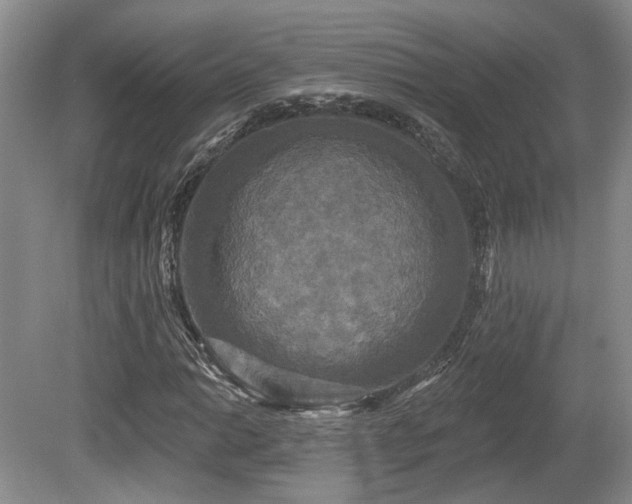 X0000080691014200612151243