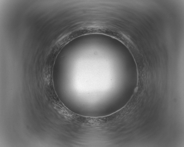 X0000080691015200612151243