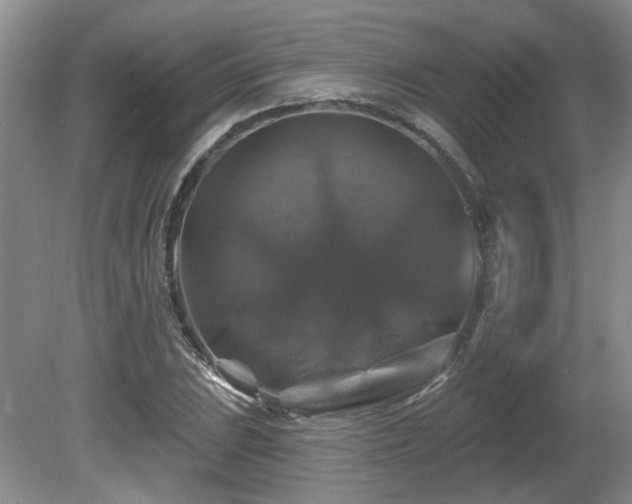 X0000080691023200612151243