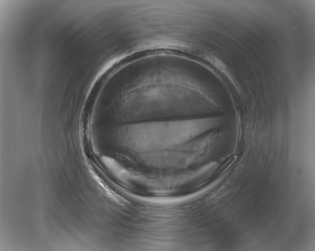 X0000080691024200612151243