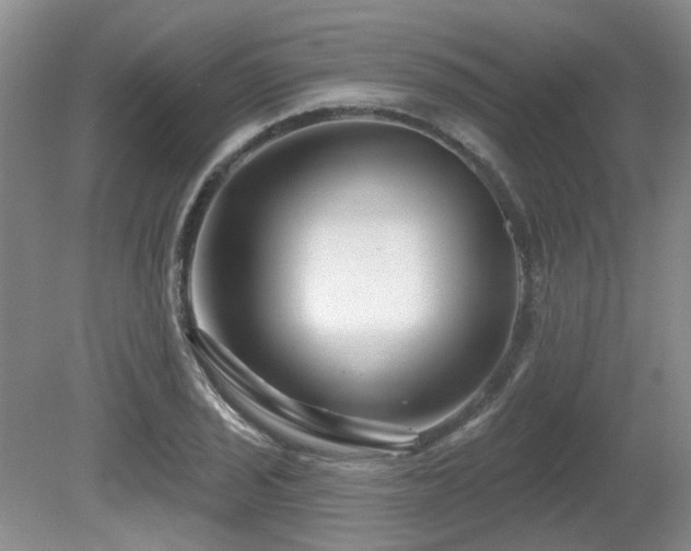 X0000080691029200612151243