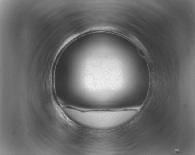 X0000080691044200612151244