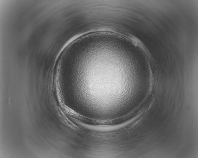 X0000080691052200612151244