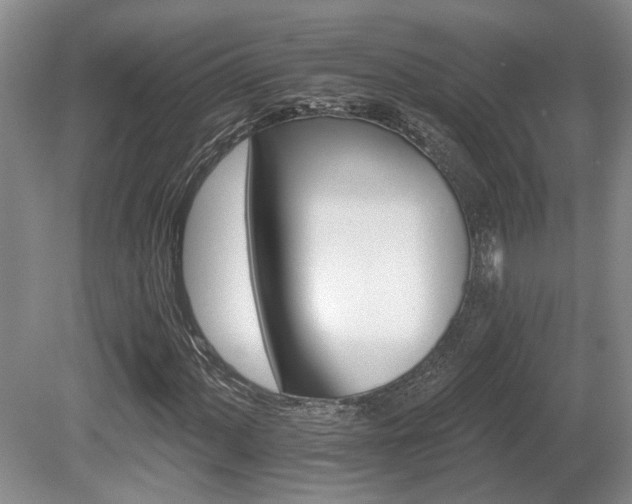 X0000080691060200612151243