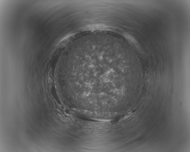 X0000080691063200612151243
