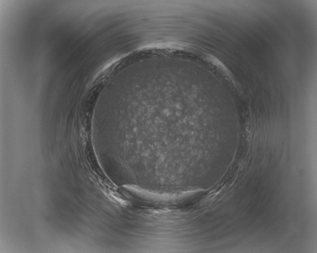 X0000080691064200612151243