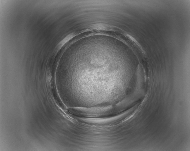 X0000080691065200612151243