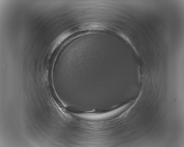X0000080691066200612151243