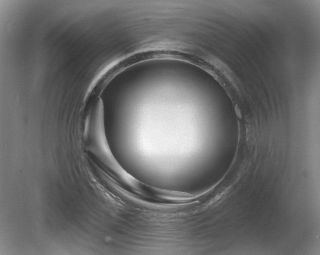 X0000080691069200612151243