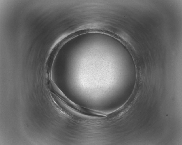 X0000080691070200612151243