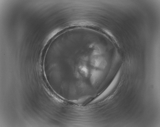 X0000080691071200612151243