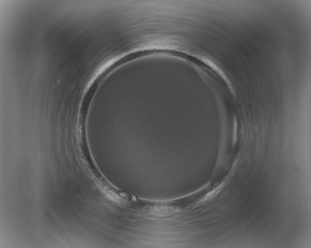 X0000080691077200612151243