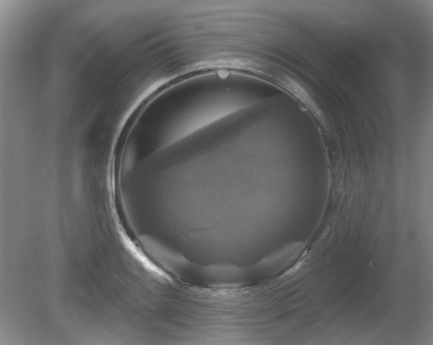 X0000080691084200612151243