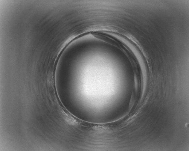 X0000080691089200612151242