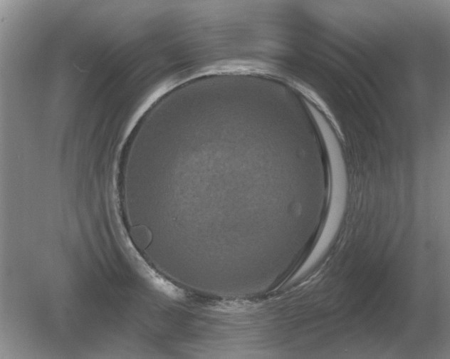 X0000080691091200612151242