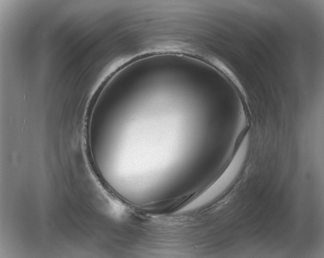 X0000080691093200612151242
