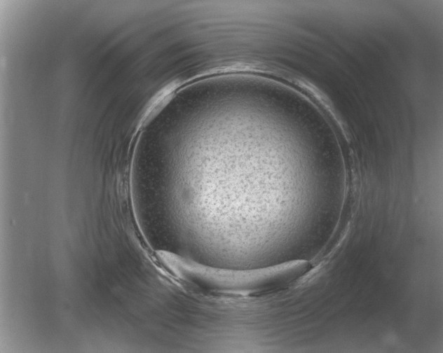 X0000080691097200612151242
