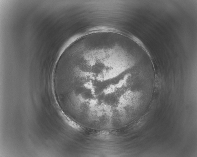 X0000080691098200612151242