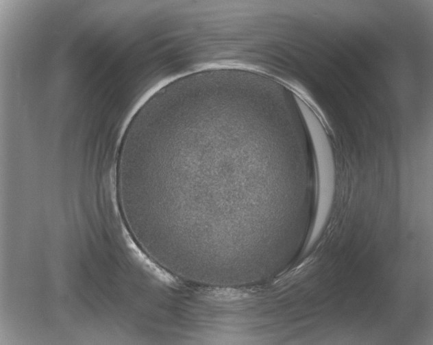 X0000080691100200612151242
