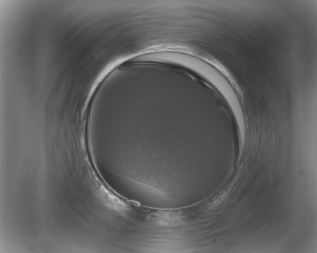 X0000080691102200612151242