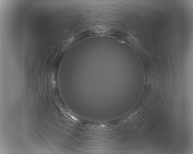 X0000080691106200612151241