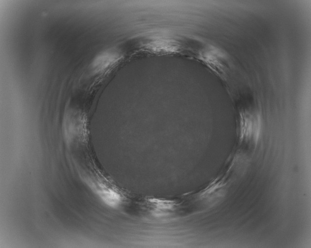 X0000080691108200612151241