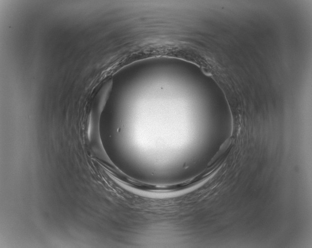 X0000080691109200612151241