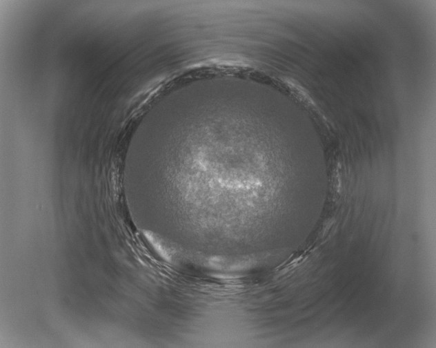 X0000080691110200612151241