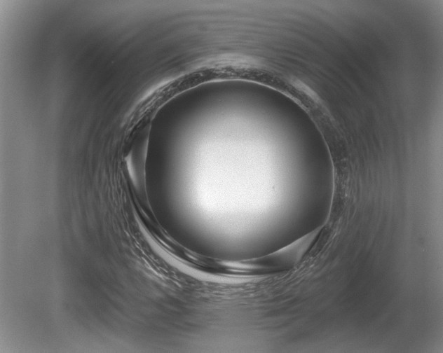 X0000080691112200612151241
