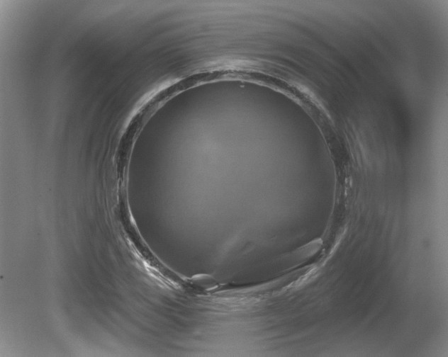 X0000080691117200612151242