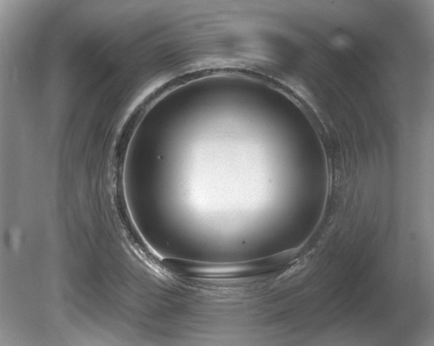 X0000080691119200612151242