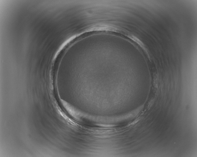 X0000080691120200612151242