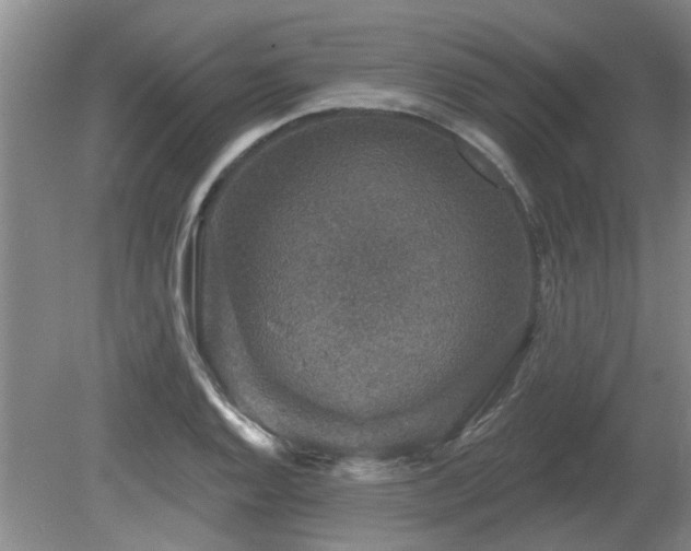 X0000080691128200612151242