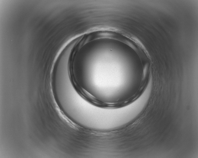 X0000080691132200612151242
