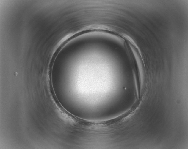 X0000080691133200612151242
