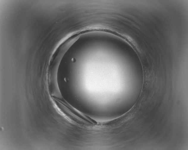 X0000080691134200612151242