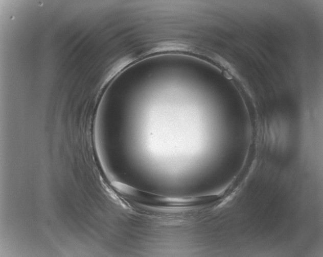 X0000080691137200612151242