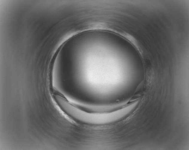 X0000080691142200612151242